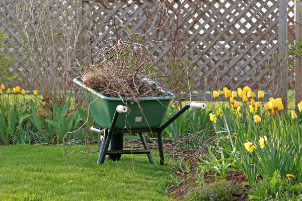 Flower Bed Cleanup Service in Danville