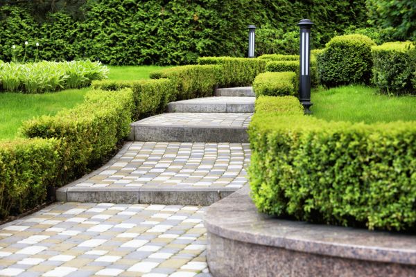 Backyard Remodeling in Danville