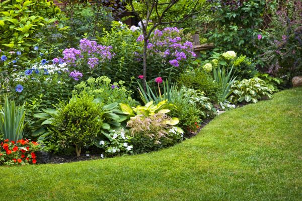 Flower Bed Service in Danville