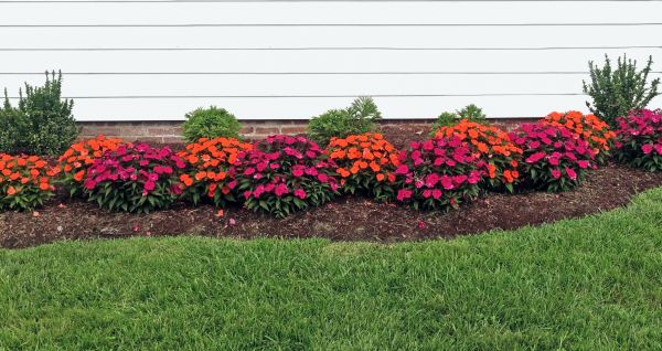 Flower Bed Weeding Service in Danville