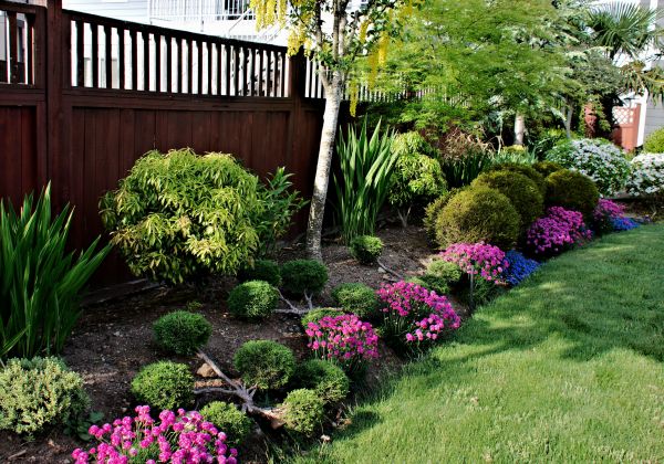 Garden Care Service in Danville