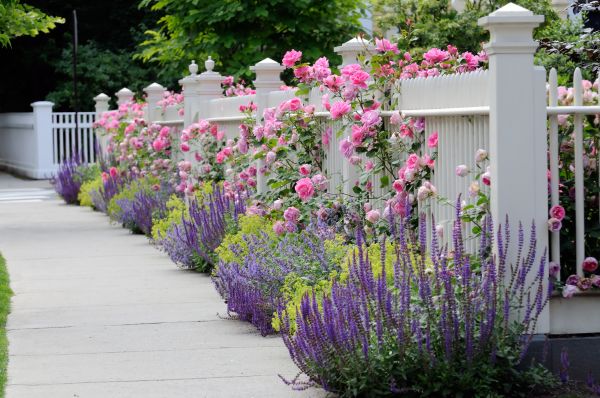 Garden Handyman Service in Danville