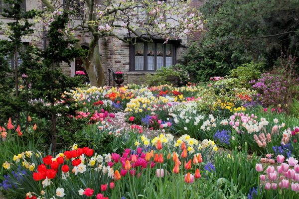 Garden Maintenance Service in Danville