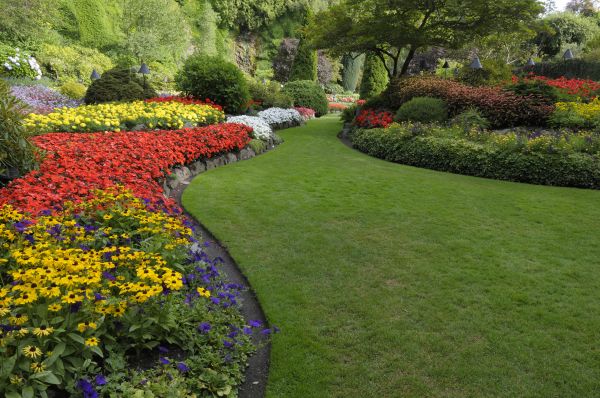 Landscaping Maintenance in Danville