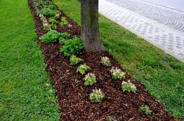 Mulch Replacement Service in Danville