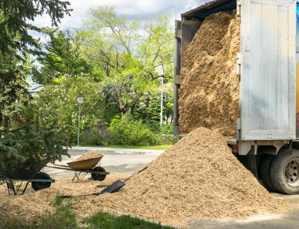Wood Chips Delivery in Danville