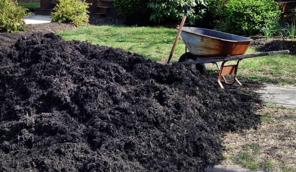 Black Mulch Delivery in Danville