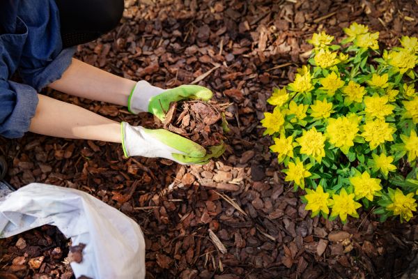 Garden Mulching in Danville