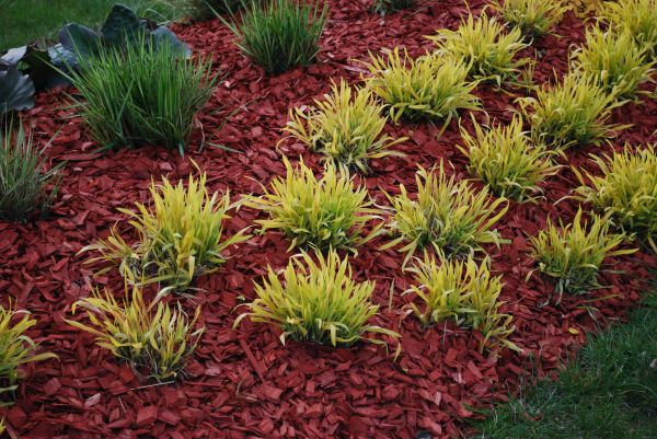 Mulch Landscaping in Danville