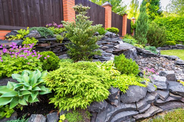 Landscape Remodeling in Danville