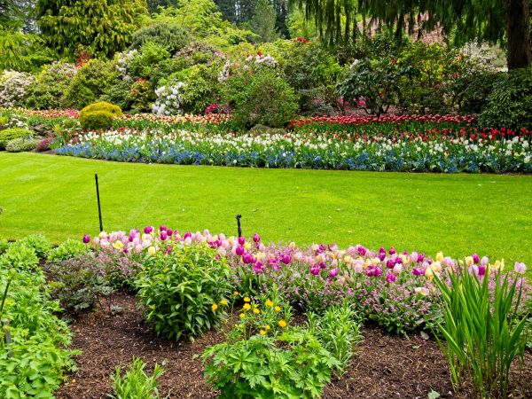 Residential Landscape Design in Danville