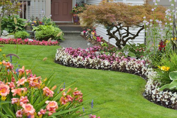 Perennial Landscaping in Danville