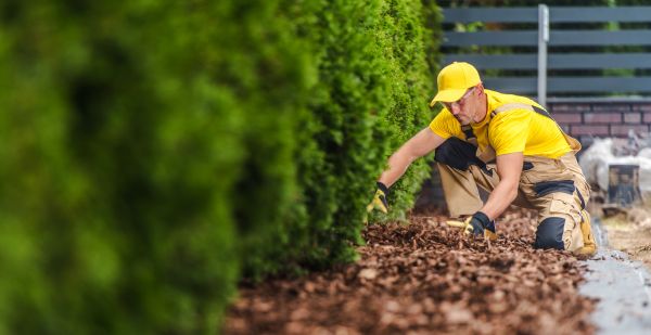 Cypress Mulch Installation in Danville