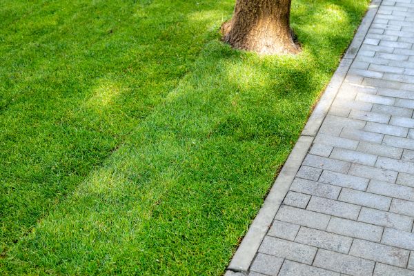 Border Stone Installation in Danville