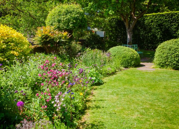 Yard Landscaping Service in Danville