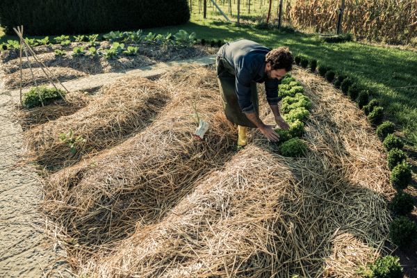 Straw Mulching Service in Danville