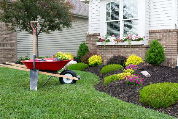 Tree And Shrub Planting in Danville