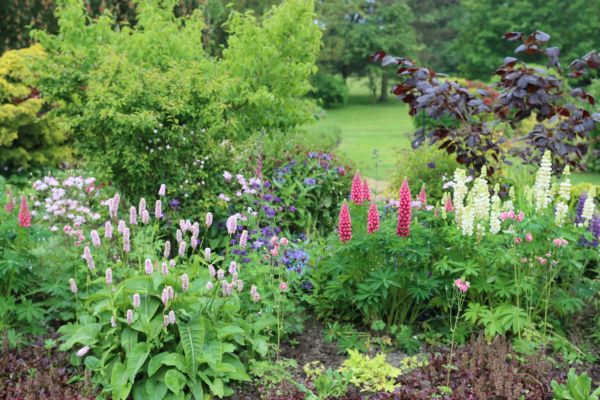 Flower Bed Planting in Danville