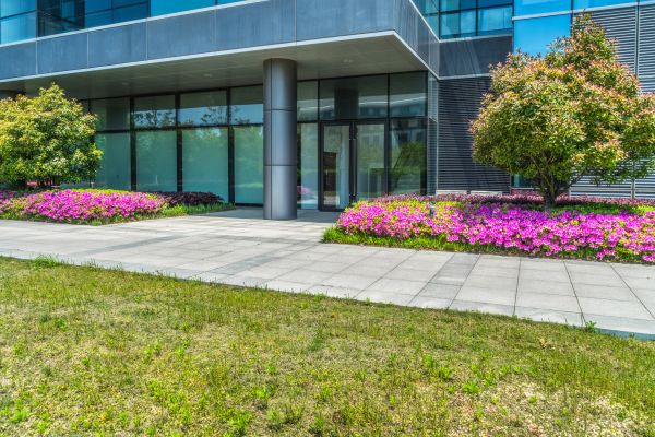 Commercial Gardening in Danville