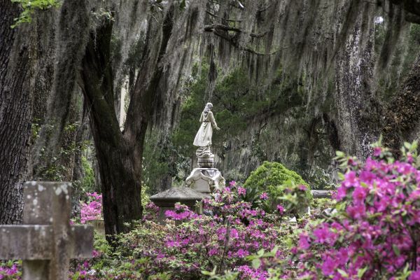Cemetery Landscaping in Danville