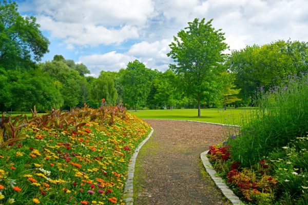 Park Landscaping in Danville