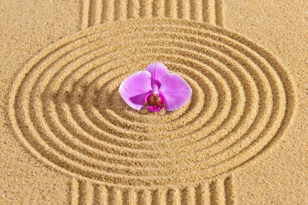 Sand Garden Landscaping in Danville