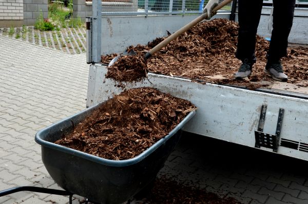 Cypress Mulch Delivery Service