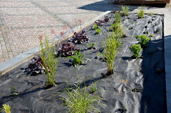 Landscape Fabric Installation in Danville