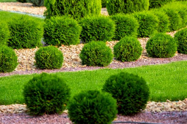 Bush Installation in Danville