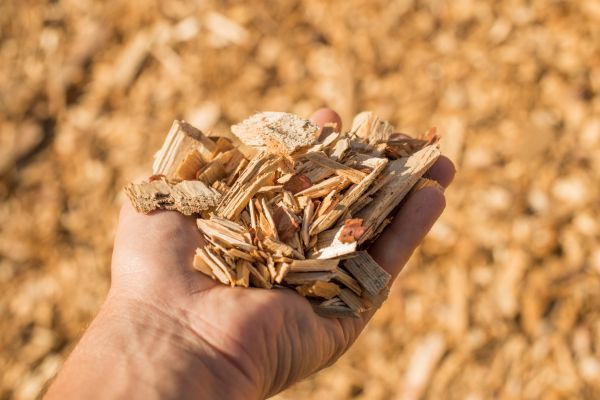 Wood Chips Spreading in Danville