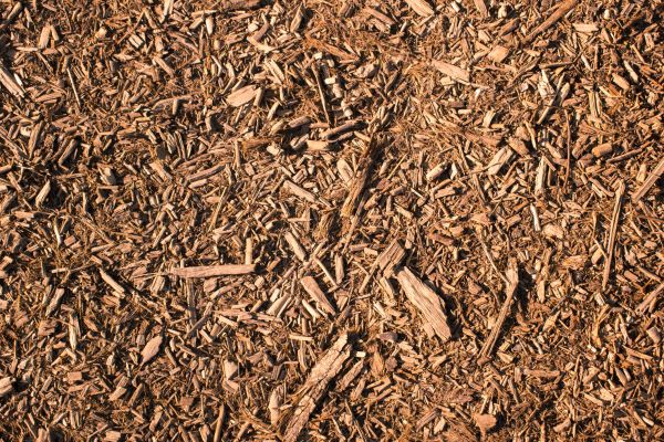 Wood Chips Removal in Danville