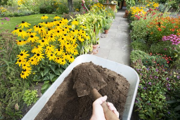 Topsoil Replacement in Danville