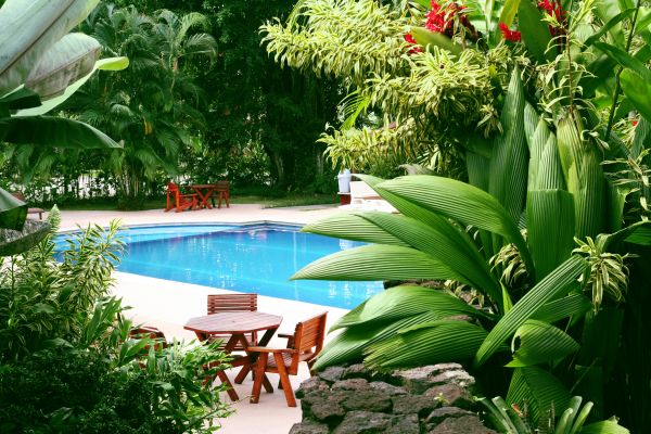 Pool Area Landscaping in Danville