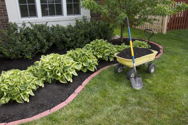 Landscape Mulching in Danville