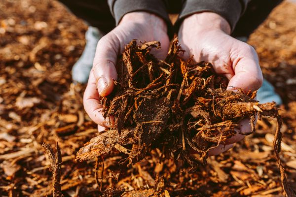 Bark Chips Delivery in Danville