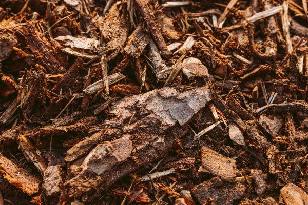 Bark Mulch Delivery in Danville
