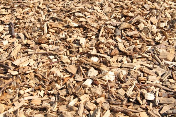 Wood Mulch Delivery in Danville