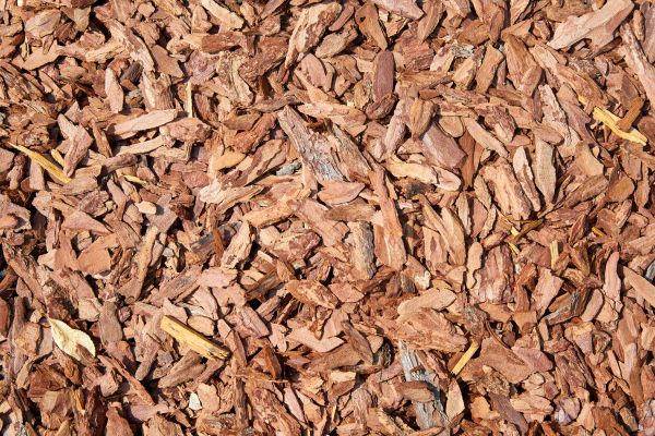 Pine Mulch Spreading in Danville
