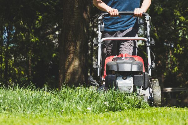 Garden Trimming Service in Danville