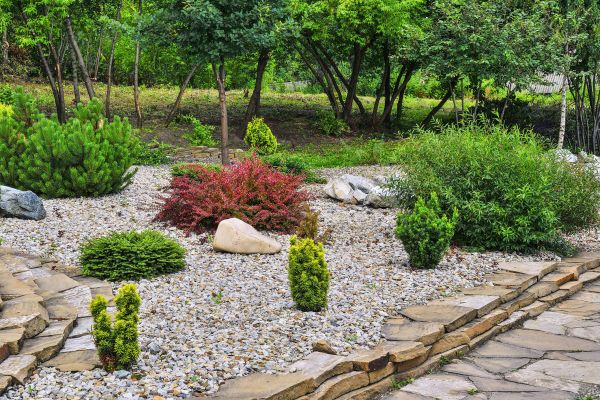 Hardscape Landscaping in Danville