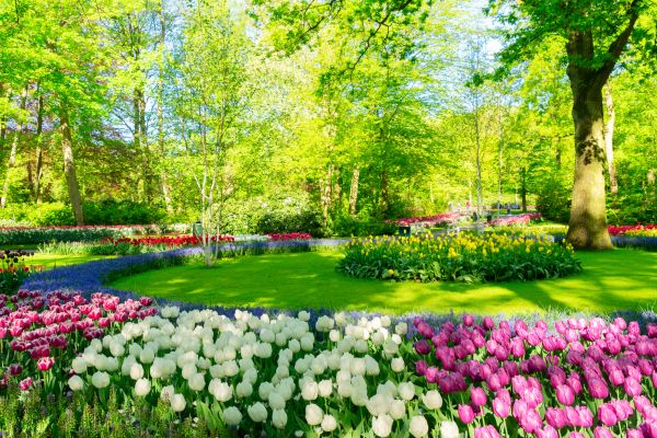 Flower Landscaping in Danville