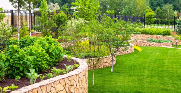 Yard Makeover Service in Danville