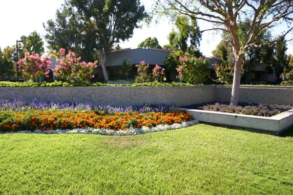 Commercial Landscape Service in Danville