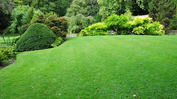 Commercial Landscape Design in Danville