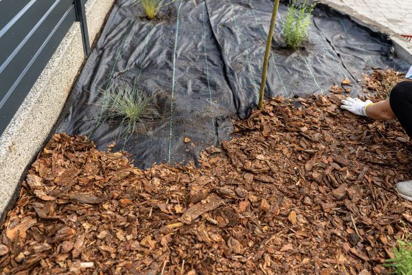 Pine Bark Spreading in Danville