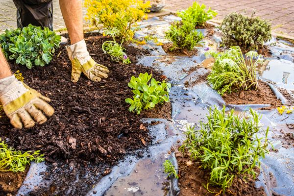 Mulch Fabric Installation in Danville