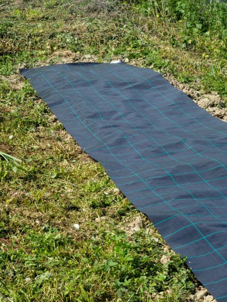 Weed Suppressant Installation in Danville