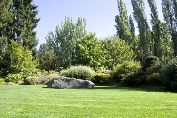 Yard Enlargement in Danville