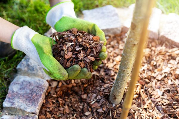 Tree Bark Delivery in Danville
