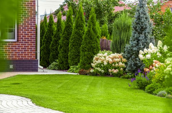 Spring Landscaping in Danville